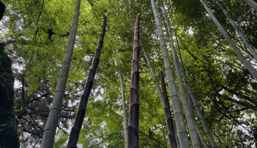 誕生日というもの